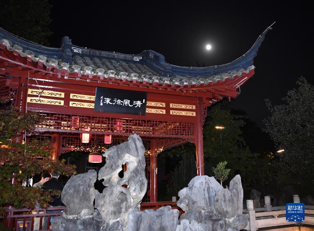 九线拉王游戏